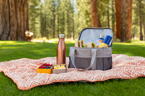 Ausflüge & Picknick
