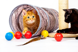 Katzenspielzeug