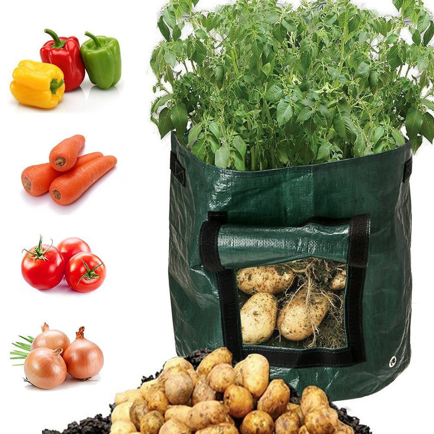 Pflanztasche aus PE mit Sichtfenster & Griffen – ideal für Kartoffeln & Gemüse