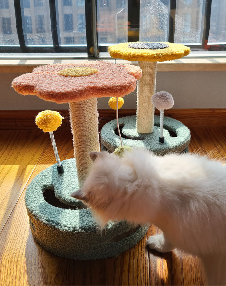 Blumen-Kratzspielzeug für Katzen – Krallenpflege & Spielspaß