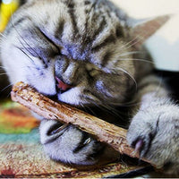 Matatabi-Sticks für Katzen – natürliche Zahnpflege & Spielspaß