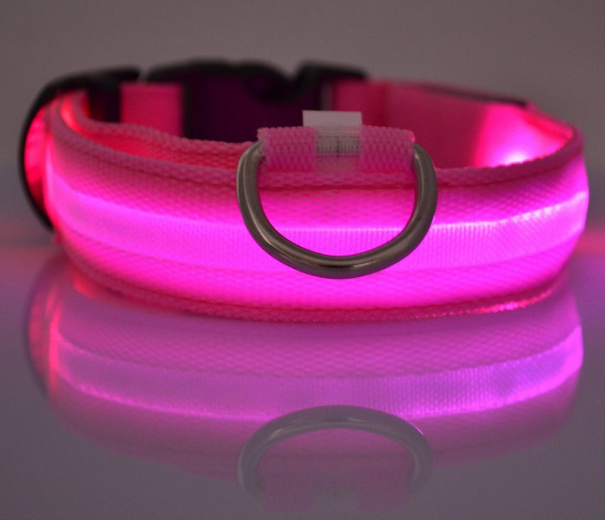 LED Hundehalsband – Sicher unterwegs bei Nacht