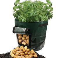 Pflanztasche aus PE mit Sichtfenster & Griffen – ideal für Kartoffeln & Gemüse
