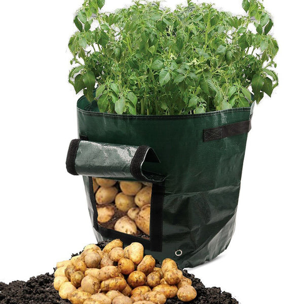 Pflanztasche aus PE mit Sichtfenster & Griffen – ideal für Kartoffeln & Gemüse