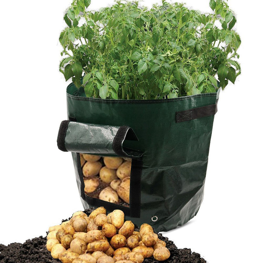 Pflanztasche aus PE mit Sichtfenster & Griffen – ideal für Kartoffeln & Gemüse