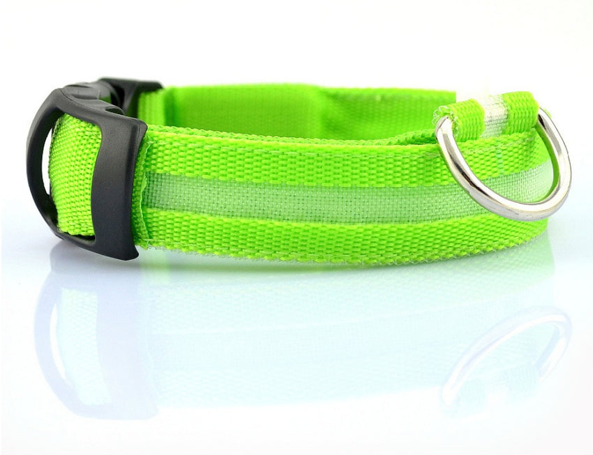 LED Hundehalsband – Sicher unterwegs bei Nacht