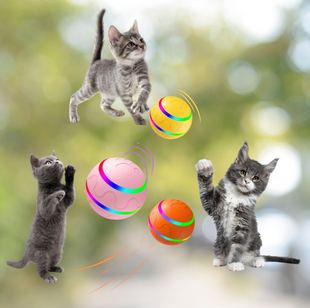 Wicked Ball mit Fernbedienung – Premium Katzenspielzeug mit LED & intelligenter Steuerung