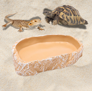 Reptilien-Futterschale „Steinoptik“ – ideal für Schildkröten, Geckos & mehr