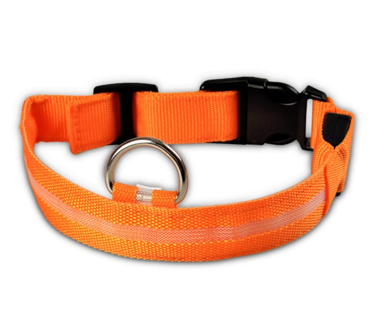 LED Hundehalsband – Sicher unterwegs bei Nacht