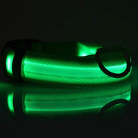 LED Hundehalsband – Sicher unterwegs bei Nacht