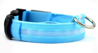 LED Hundehalsband – Sicher unterwegs bei Nacht