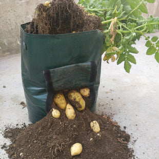 Pflanztasche aus PE mit Sichtfenster & Griffen – ideal für Kartoffeln & Gemüse