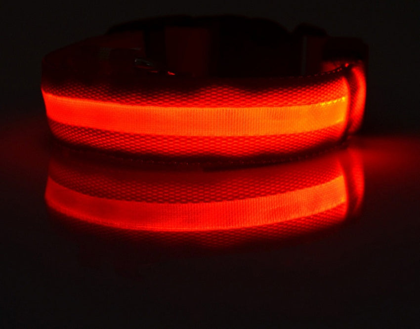 LED Hundehalsband – Sicher unterwegs bei Nacht