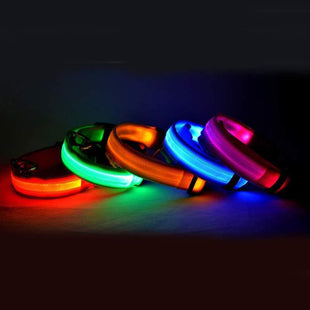 LED Hundehalsband – Sicher unterwegs bei Nacht