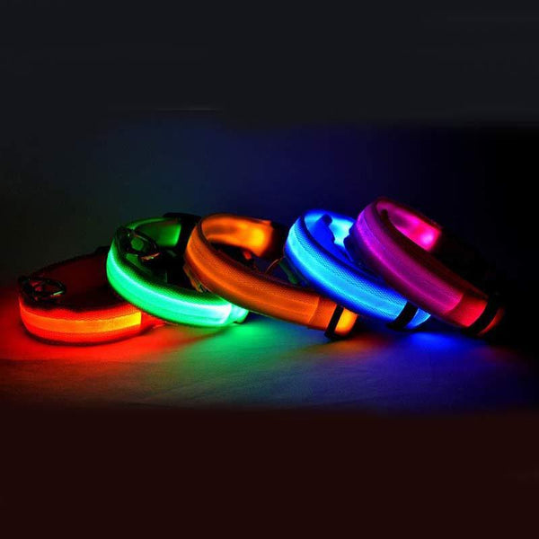 LED Hundehalsband – Sicher unterwegs bei Nacht