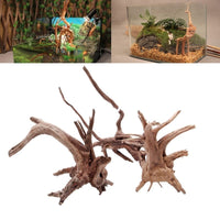 Naturholz-Wurzel – einzigartiges Highlight fürs Aquarium