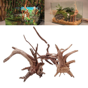 Naturholz-Wurzel – einzigartiges Highlight fürs Aquarium