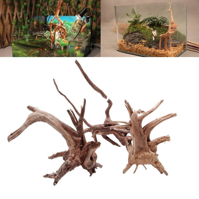 Naturholz-Wurzel – einzigartiges Highlight fürs Aquarium