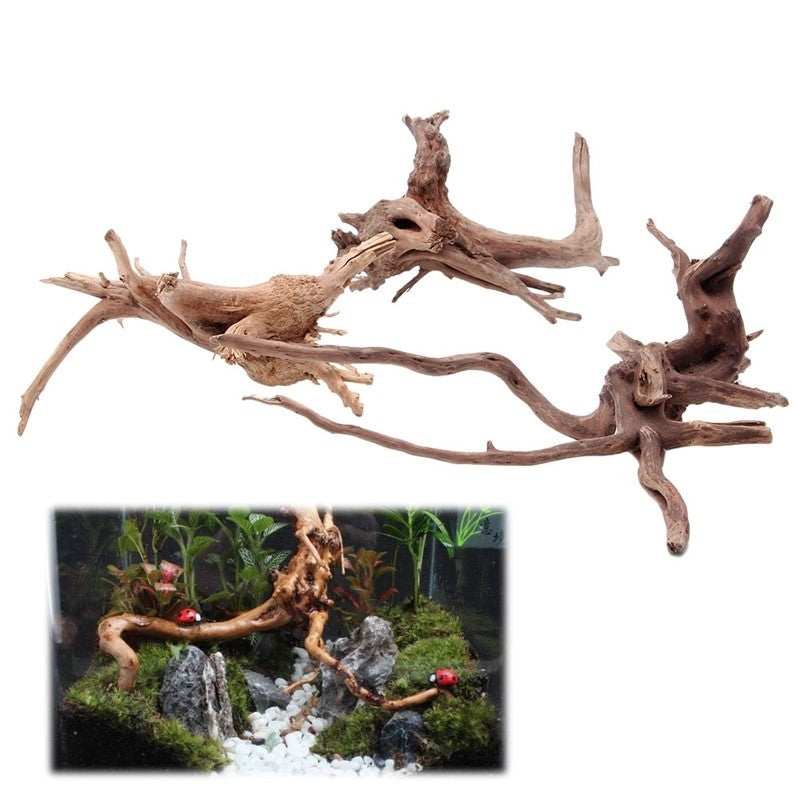 Naturholz-Wurzel – einzigartiges Highlight fürs Aquarium