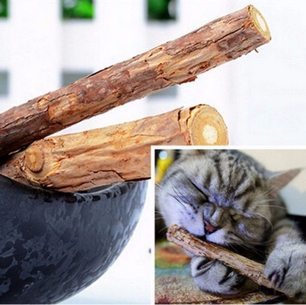 Matatabi-Sticks für Katzen – natürliche Zahnpflege & Spielspaß