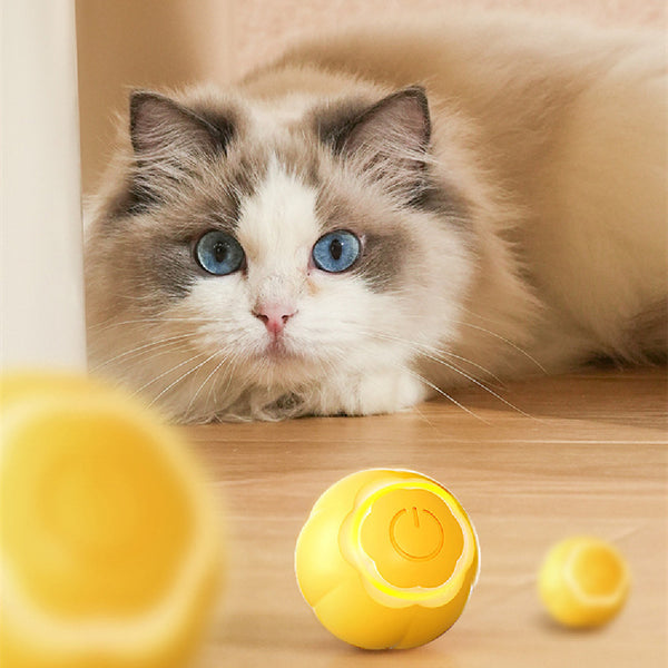 Smart Katzen-Spielball – Interaktives Spielzeug gegen Langeweile