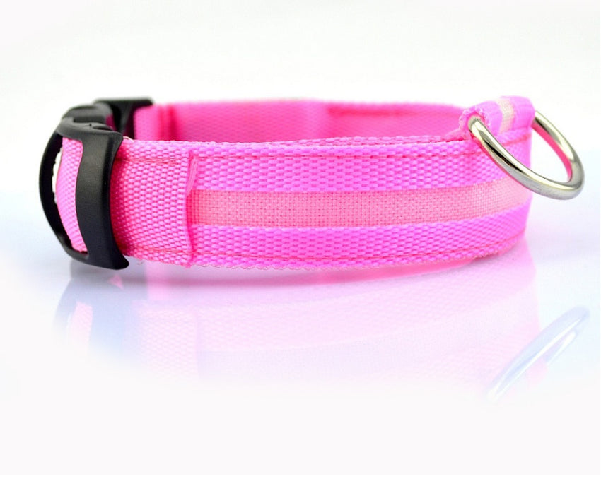 LED Hundehalsband – Sicher unterwegs bei Nacht