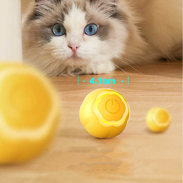 Smart Katzen-Spielball – Interaktives Spielzeug gegen Langeweile