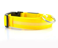 LED Hundehalsband – Sicher unterwegs bei Nacht