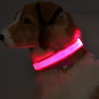 LED Hundehalsband – Sicher unterwegs bei Nacht