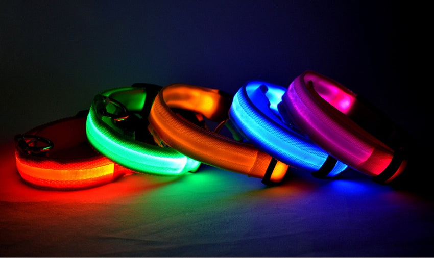 LED Hundehalsband – Sicher unterwegs bei Nacht