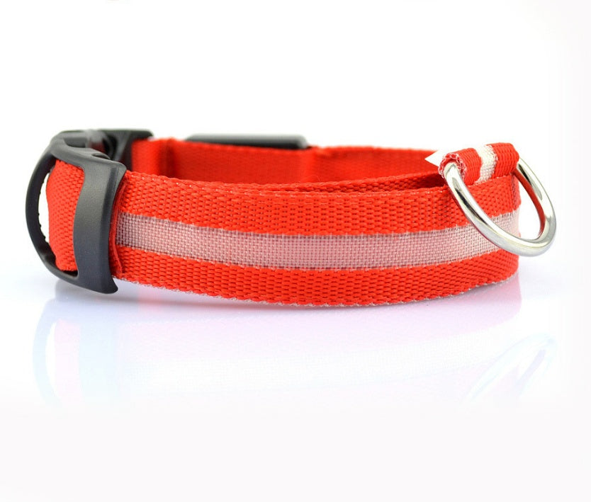 LED Hundehalsband – Sicher unterwegs bei Nacht