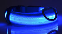 LED Hundehalsband – Sicher unterwegs bei Nacht