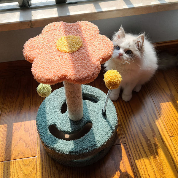 Blumen-Kratzspielzeug für Katzen – Krallenpflege & Spielspaß