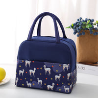 Isolierte Lunchbox-Tasche – groß, praktisch & stylisch
