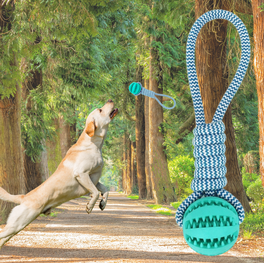 Hundespielzeug Wurfball – mit Schlaufe & Zahnpflege-Effekt